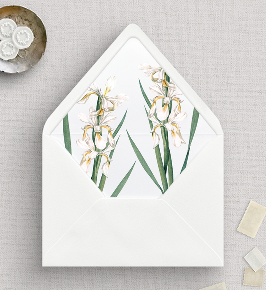 Envelope Liners | Iris